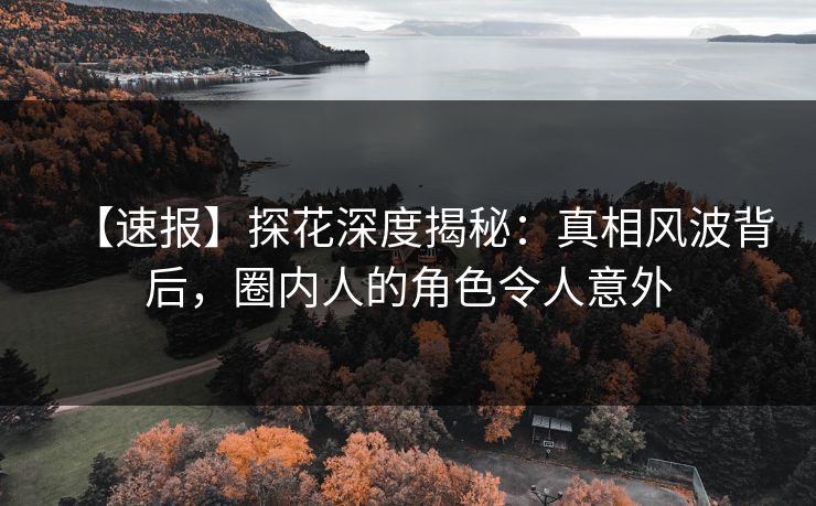 【速报】探花深度揭秘：真相风波背后，圈内人的角色令人意外