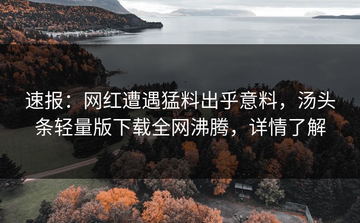 速报：网红遭遇猛料出乎意料，汤头条轻量版下载全网沸腾，详情了解