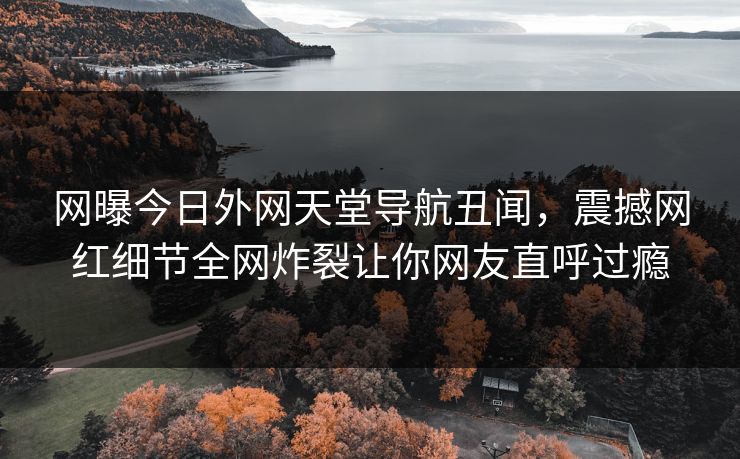 网曝今日外网天堂导航丑闻，震撼网红细节全网炸裂让你网友直呼过瘾