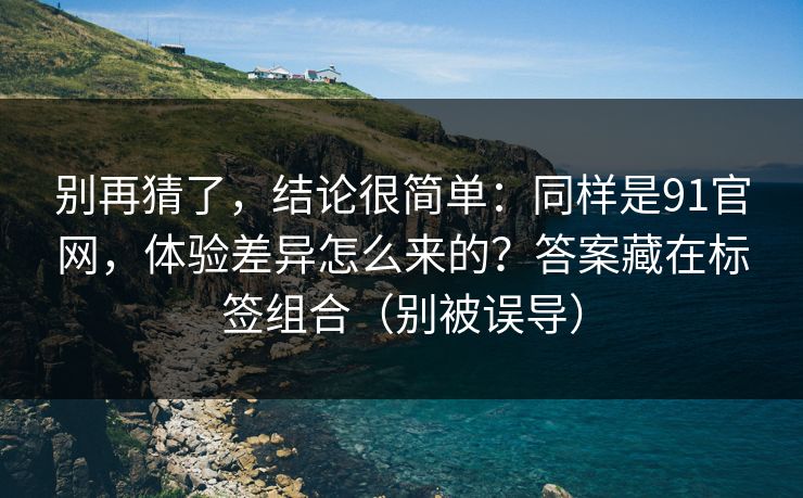 别再猜了，结论很简单：同样是91官网，体验差异怎么来的？答案藏在标签组合（别被误导）