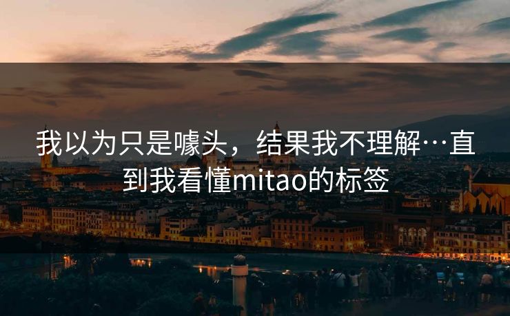 我以为只是噱头，结果我不理解…直到我看懂mitao的标签